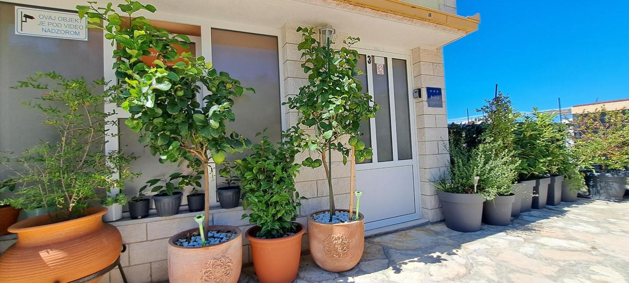 Apartments Villa Bella Vista Hvar ฮวาร์ ภายนอก รูปภาพ